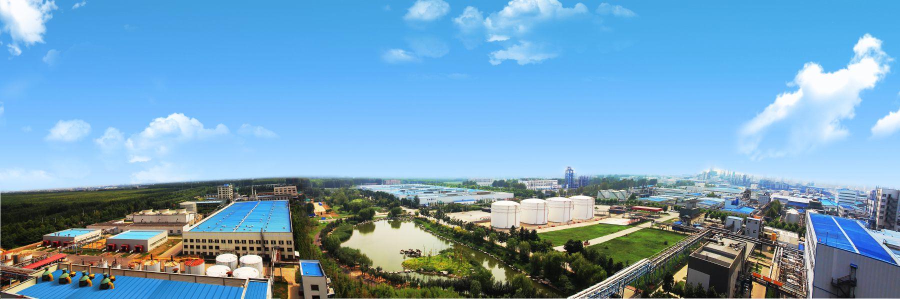 Plant Overview Sqgroup Compressed